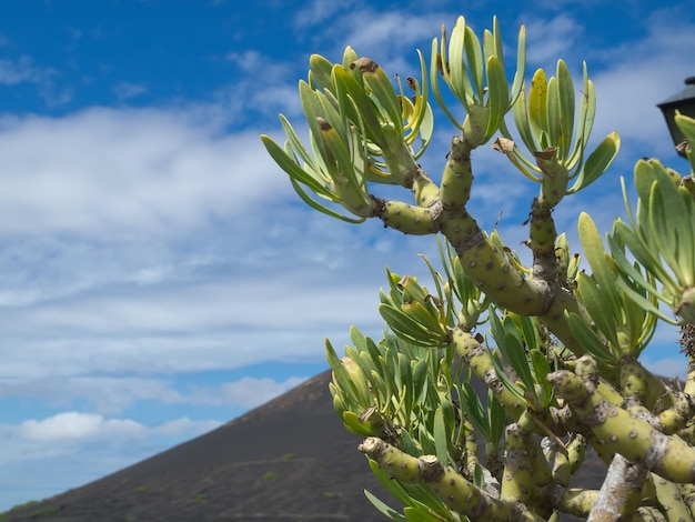 la isla de Lanzarote