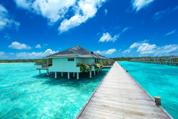 Isla de Maldivas con bungalow en el océano