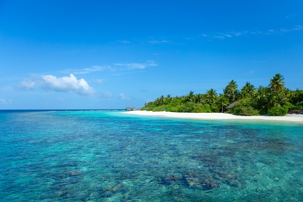 Isla Maldivas con coral marino cristalino y cielo azul