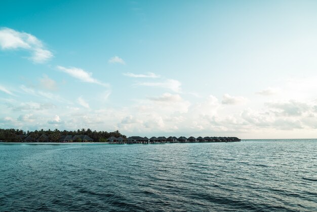 Isla de Maldivas con mar