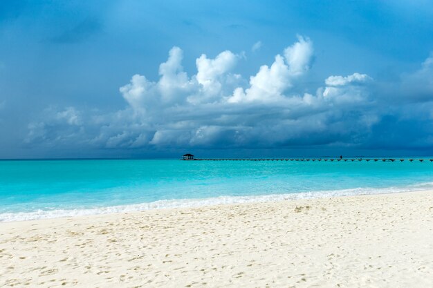 Isla de Maldivas con playa de arena blanca y mar