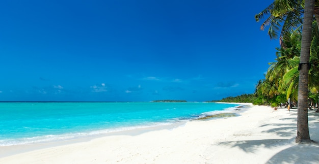 Isla de Maldivas con playa de arena blanca y mar