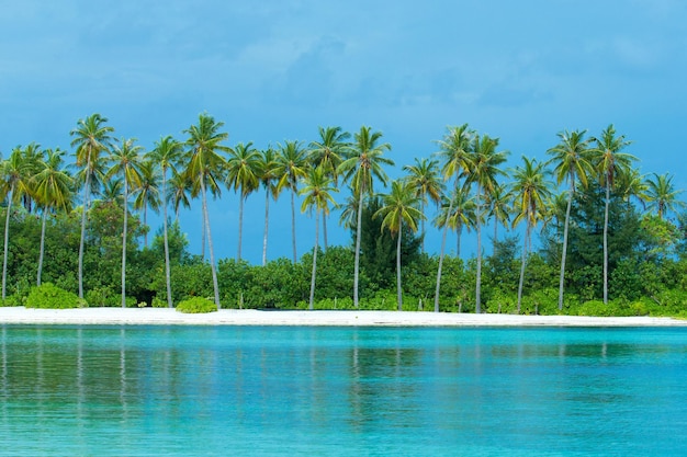 Isla de Maldivas con playa