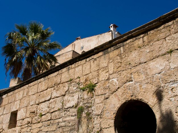 Foto la isla de mallorca