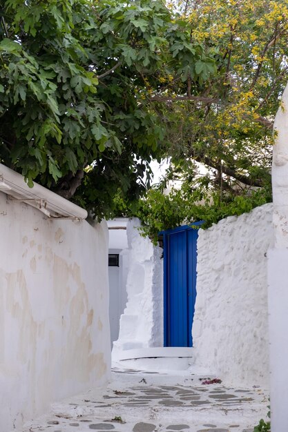 Isla de Mykonos Aldea de Chora Cícladas Grecia Edificios encalados callejón estrecho de adoquines