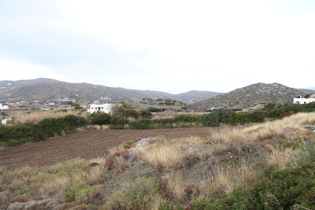 Isla de Naxos Grecia