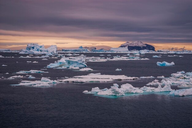 Isla Paulet Paisaje Península Antártica La Antártida