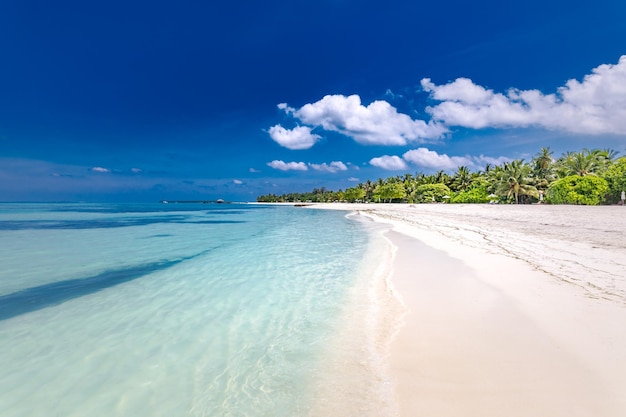 Isla perfecta, costa y paisaje marino con mar azul tranquilo, arena blanca y palmeras bajo un cielo azul