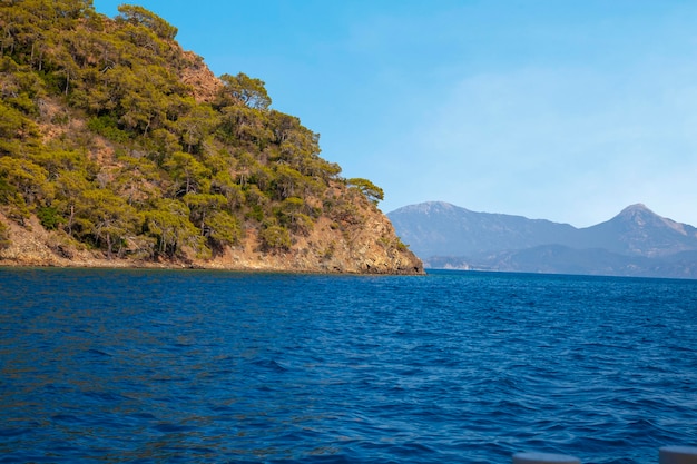 isla en la región mar, bosque verde montaña