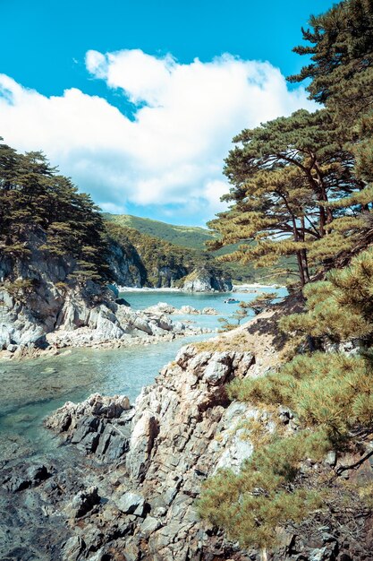 isla rocosa con pinos