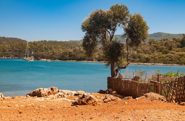 Isla Sedir en el Golfo de Gokova Mar Egeo