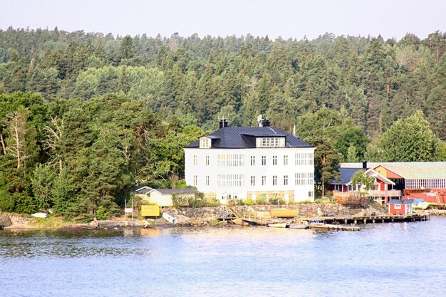 Isla solitaria en el archipiélago de Suecia