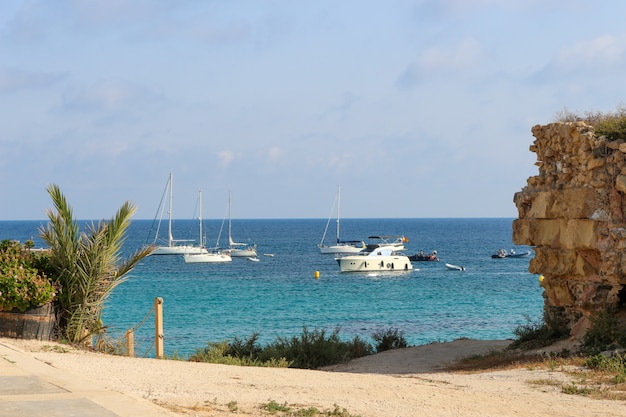 Foto isla tabarca en costa blanca mediterráneo - españa