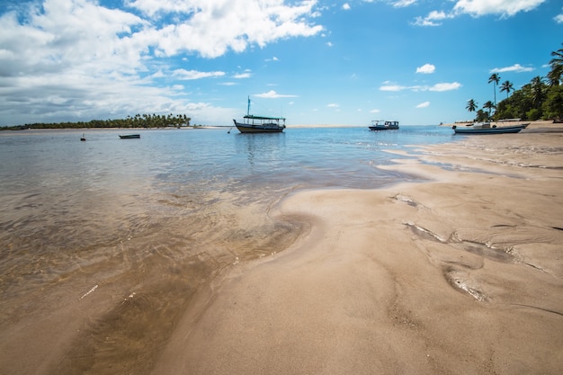 Isla tropical de Boipeba en el noreste de Brasil en Bahía.