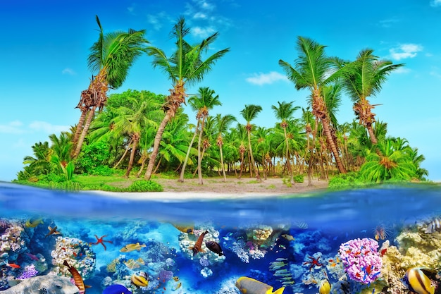 Isla tropical dentro de un atolón en el océano tropical y un maravilloso y hermoso mundo submarino con corales y peces tropicales.