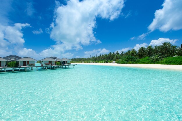 Isla tropical de Maldivas con mar y playa de arena blanca