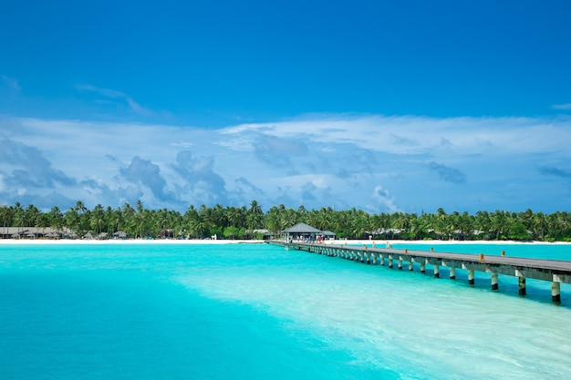 Foto isla tropical de maldivas con mar y playa de arena blanca