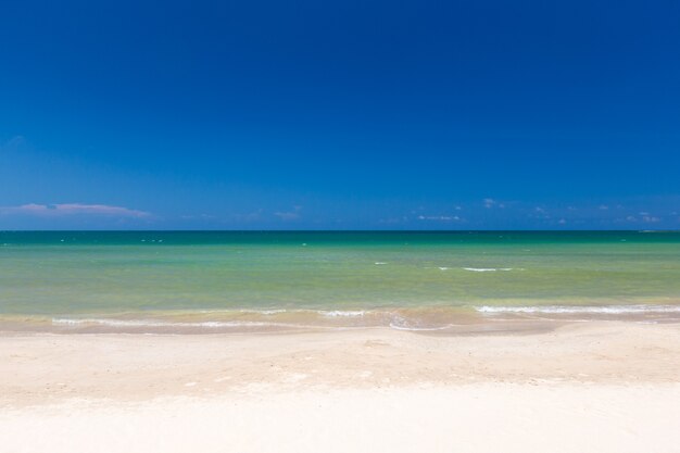 Isla tropical de Maldivas con mar y playa de arena blanca