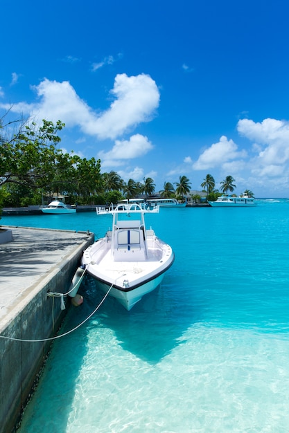 Isla tropical de Maldivas con mar y playa de arena blanca