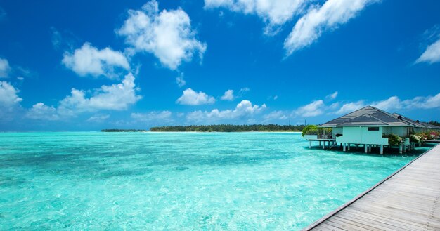 Foto isla tropical de maldivas con mar y playa de arena blanca