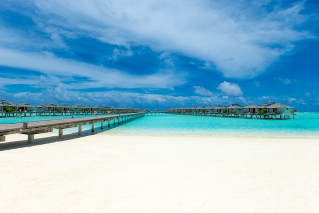 Isla tropical de Maldivas con mar y playa de arena blanca