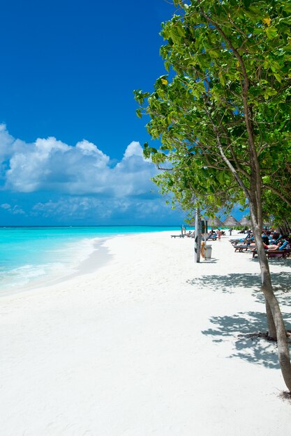 Isla tropical de Maldivas con playa de arena blanca y mar