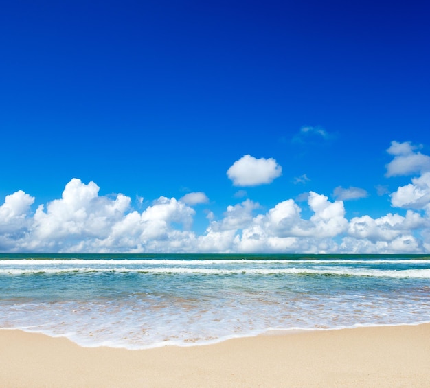 Isla tropical de Maldivas con playa de arena blanca y mar.