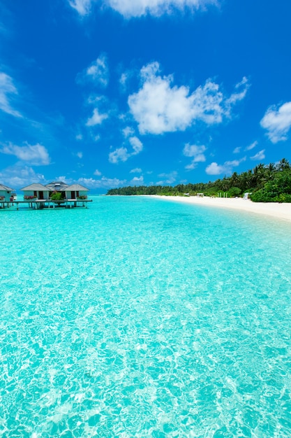 Isla tropical de Maldivas con playa de arena blanca y mar