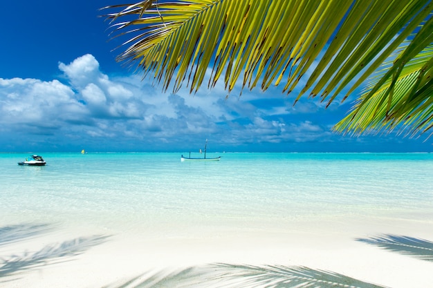 Isla tropical de Maldivas con playa de arena blanca y mar