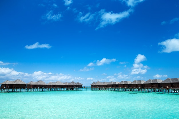 Isla tropical de Maldivas con playa de arena blanca y paisaje marino