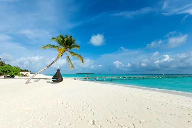 Isla tropical de Maldivas con playa de arena blanca y palmeras marinas