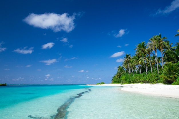 Isla tropical de Maldivas con playa de arena blanca