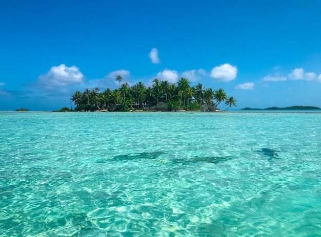 Isla tropical salvaje aislada con agua turquesa