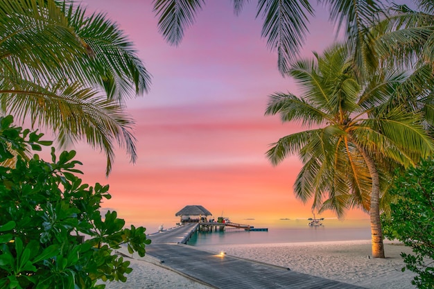 Isla turística de Maldivas al atardecer con embarcadero de madera, increíble cielo colorido. Perfecta escena de playa al atardecer