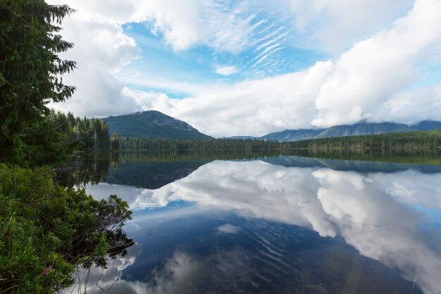 Isla de vancouver. Canadá