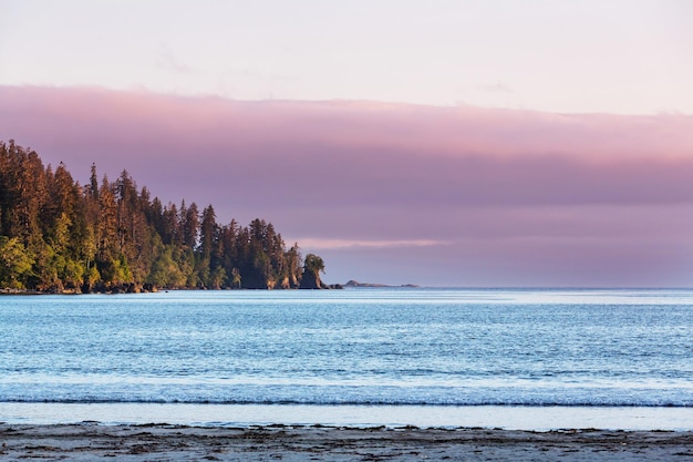 Isla de vancouver.