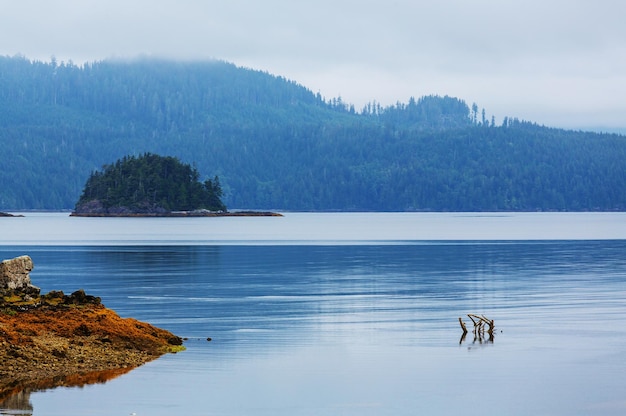 Isla de vancouver.