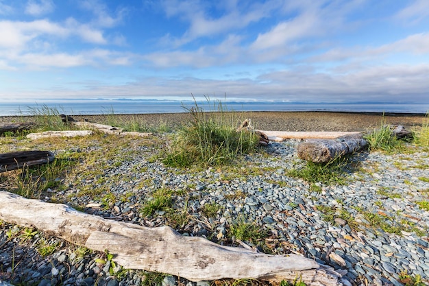 Isla de vancouver.