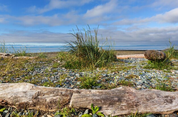 Isla de vancouver.