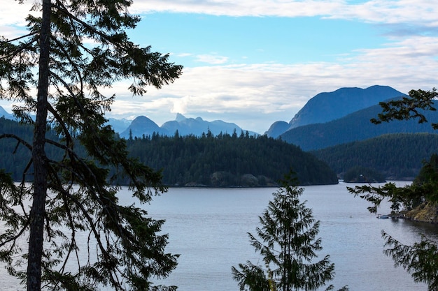 Isla de vancouver.