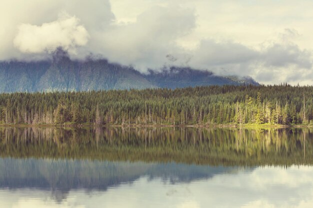 Isla de vancouver.