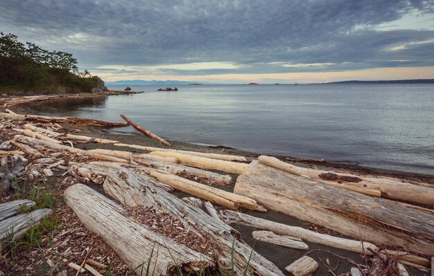 Isla de vancouver