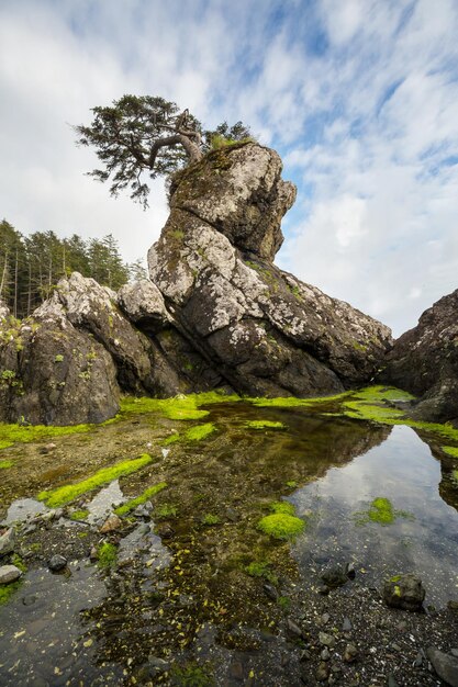 Isla de vancouver