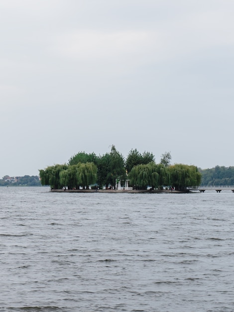 Isla verde entre un gran lago en un día soleado. Isla con árboles altos en el río en un cálido día de verano.