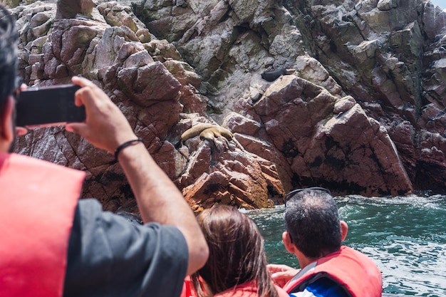 Islas Ballestas en Paracas