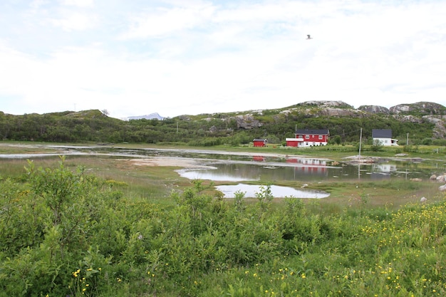 Islas de Kvaloya y Senja Noruega