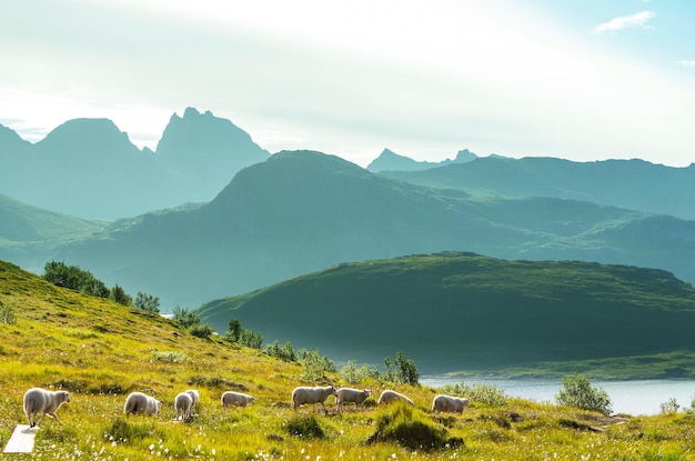 Islas Lofoten, en el norte de Noruega