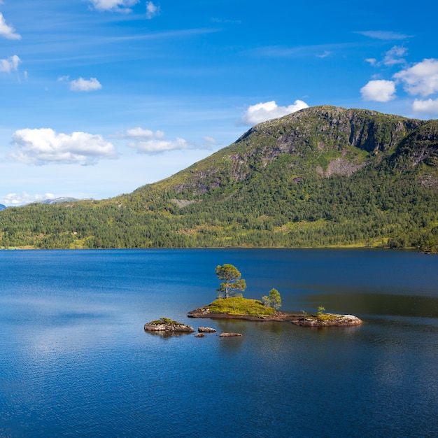 Islote con pinos en Noruega