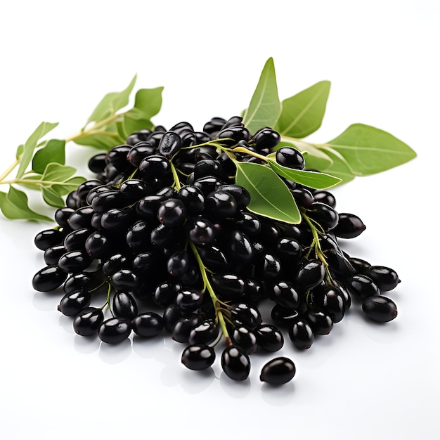 Isolado de feijão matpe preto sementes pretas brilhantes com uma textura lisa ca na foto de fundo branco