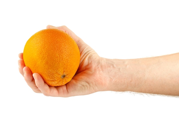 Isolat der Orangenfrucht in der Hand